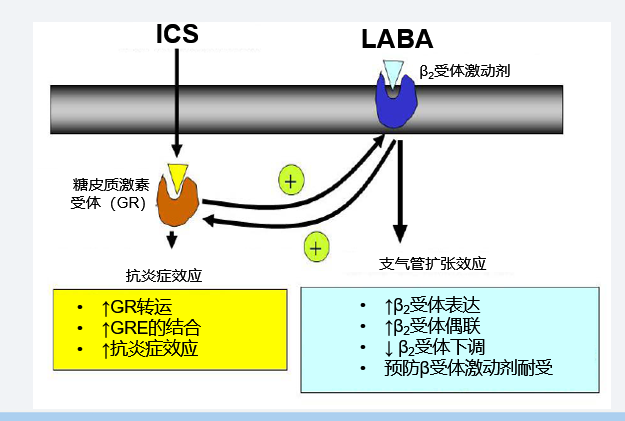 图1.png